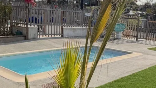 À Alzonne, dans l'Aude, une piscine réservée aux chiens ouvre le...