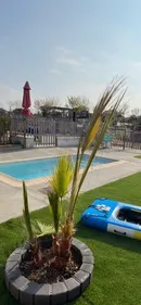 À Alzonne, dans l'Aude, une piscine réservée aux chiens ouvre le...