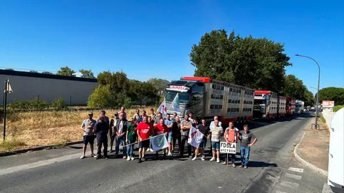 Éleveurs en colère dans le Tarn : double mobilisation à Castres et...
