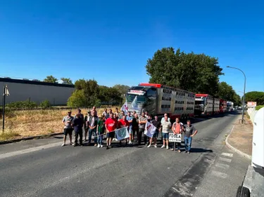 Éleveurs en colère dans le Tarn : double mobilisation à Castres et...