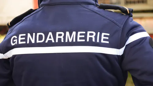 Info 100%. Arrêté en Haute-Garonne, le maquereau niçois s'était mis...