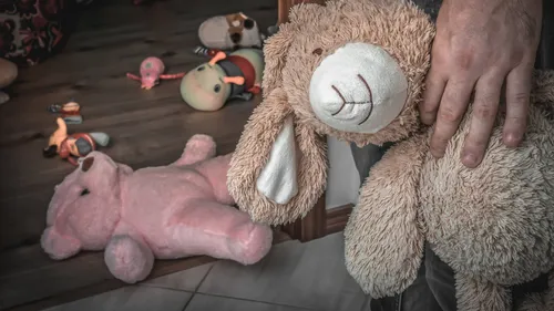 TOULOUSE. 4 ANS DE PRISON FERME POUR LE BABY-SITTER PEDOPHILE 