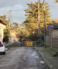 Tarn: le vent d'autan s'est déchainé ce week-end