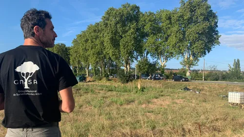 A69. Thomas Brail entame une grève de la faim pour s'opposer à...