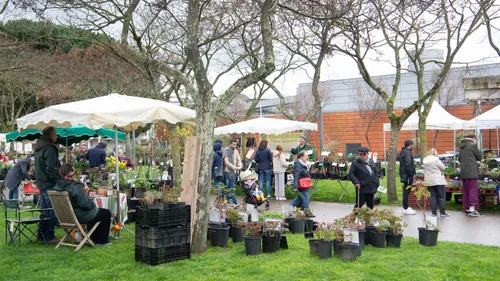 COLOMIERS: cinq listes se disputent la Mairie de la deuxième ville...