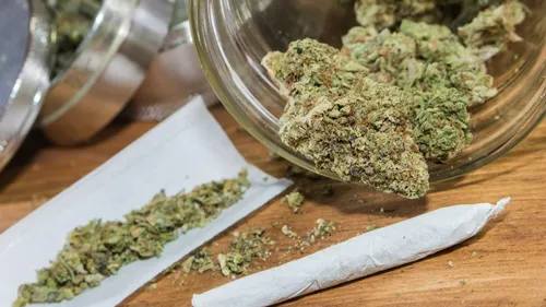 600 kilos de cannabis saisis près de Perpignan : un gros trafiquant...