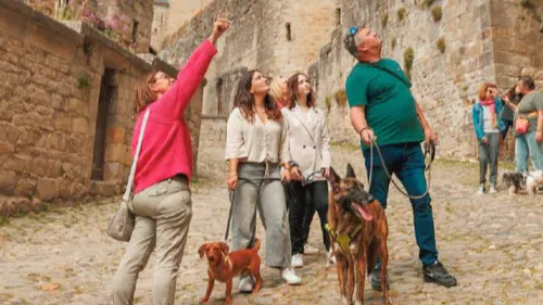 À Carcassonne, le tourisme a du chien 