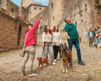À Carcassonne, le tourisme a du chien 