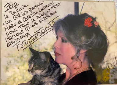 Pyrénées-Orientales : La gérante d’un refuge animalier reçoit une...