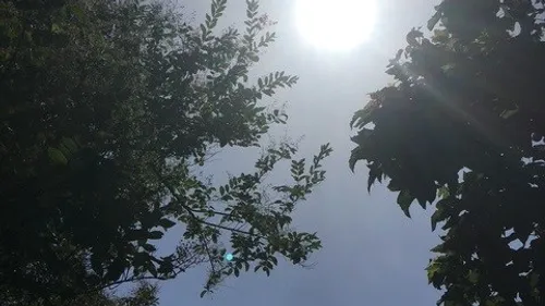 Canicule: une nouvelle vague de fortes chaleurs s'installe sur la...