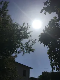 Canicule: une nouvelle vague de fortes chaleurs s'installe sur la...