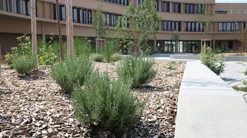 TARN: première rentrée au collège de Couffouleux