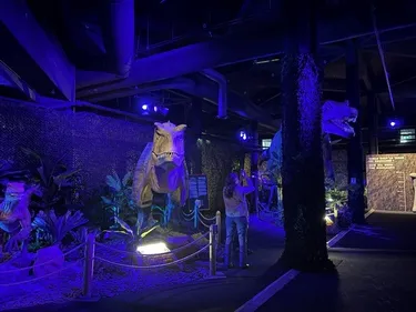 HAUTE-GARONNE: l'exposition Dinos Alive s'installe à...