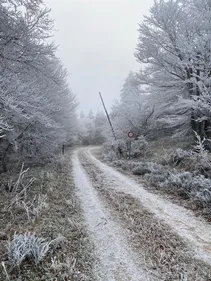TARN: le plan Grand Froid activé dans le département