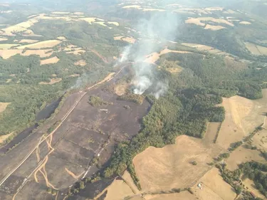 TARN: 64 hectares sont partis en fumée à Montredon-Labessonnié ce...
