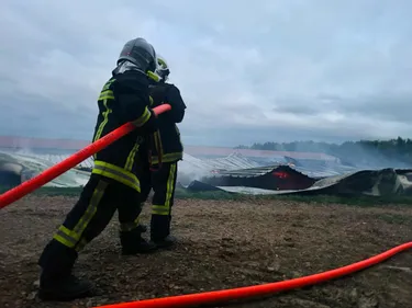 Haute-Garonne: environ 9 000 poulets périssent dans un incendie à...