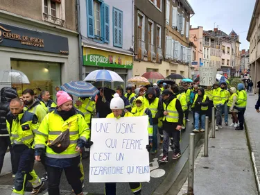 Fibre Excellence: le gouvernement émet des réserves sur le projet...