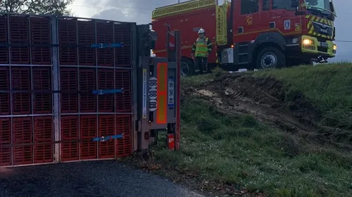 Gers. Un camion transportant plus de 4000 volailles se couche, le...