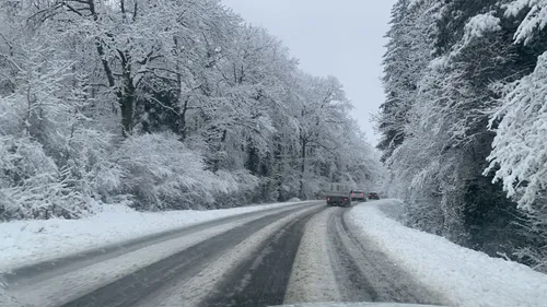 Photos. Manteau blanc et gros flocons, la neige envahit le Tarn
