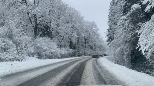 Photos. Manteau blanc et gros flocons, la neige envahit le Tarn