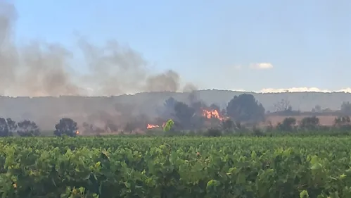 Incendies:  propagation stoppée dans l'Aude et feu fixé à...