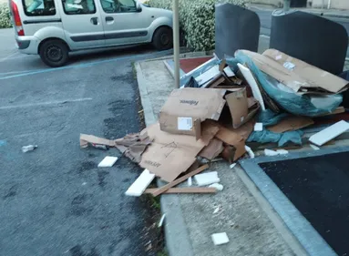 Mazamet: une femme condamnée pour dépôt sauvage de déchets