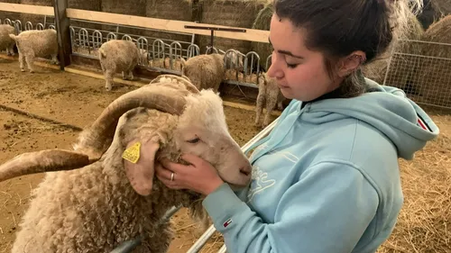 Tarn. "C'est la ferme de mes rêves", près de Castres, Crystele...