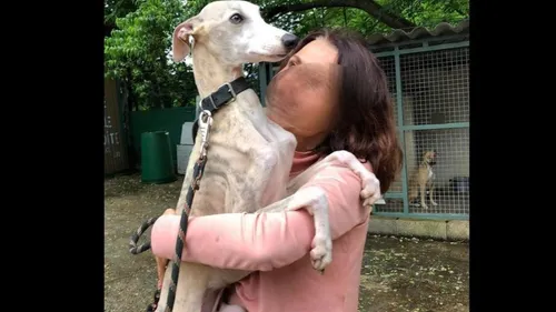 INFO 100%. Le refuge de l'horreur, une trentaine de cadavres de...