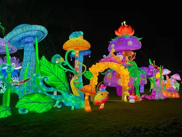 Montauban. Top départ pour la 6e édition du festival des lanternes