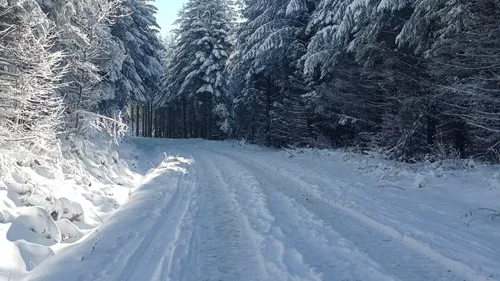La station de ski nordique de Picotalen ouvre ses pistes, à Lacaune!