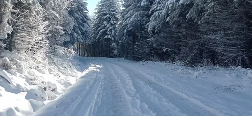 La station de ski nordique de Picotalen ouvre ses pistes, à Lacaune!