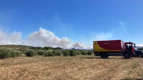 Méga-feux, restrictions sur l’eau : les Pyrénées-Orientales doivent...
