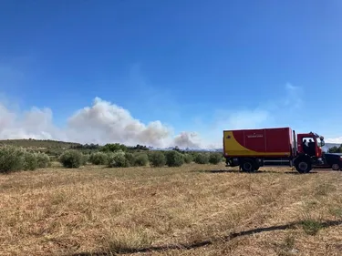 Méga-feux, restrictions sur l’eau : les Pyrénées-Orientales doivent...