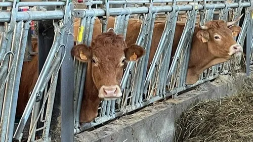 La MHE gagne du terrain dans le Gers