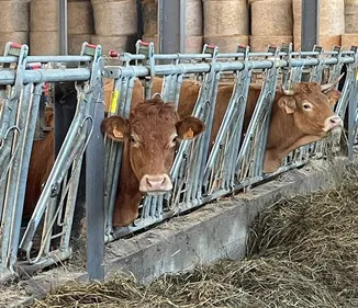 La MHE gagne du terrain dans le Gers