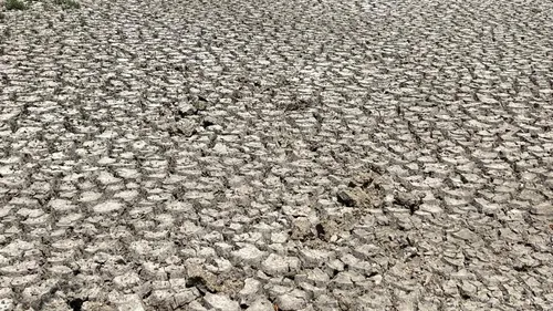 Sécheresse : malgré des économies d'eau notables, la majeure partie...