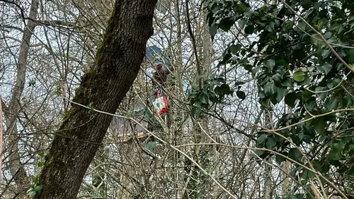 Autoroute Castres-Toulouse: les gendarmes spécialisés sont arrivés...
