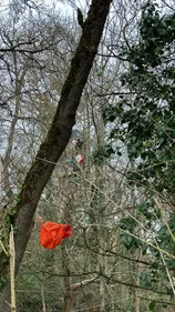 Autoroute Castres-Toulouse: les gendarmes spécialisés sont arrivés...