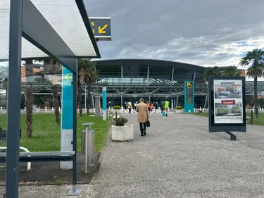 Transavia remplace Air France à Toulouse :  la baisse de fréquence...