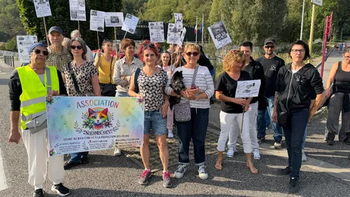 Protection animale : les associations ariégeoises tirent la...
