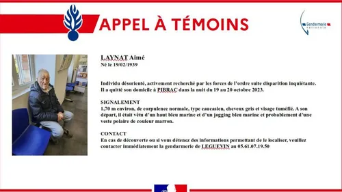 Disparition. Avez-vous vu Aimé près de Toulouse ? 