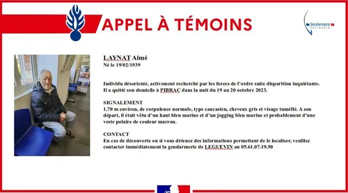 Disparition. Avez-vous vu Aimé près de Toulouse ? 