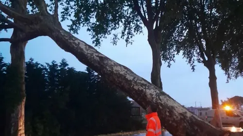 Coup de vent : des milliers de foyers toujours privés d'électricité...