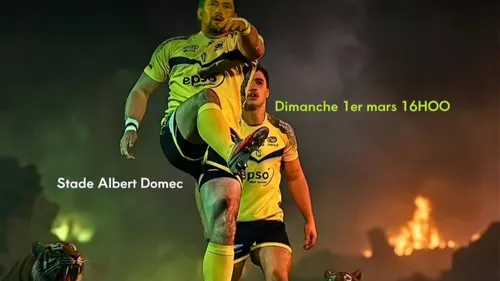 Carcassonne XIII : reprise musclée face à Albi après plus d’un mois...