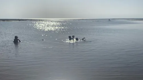 Qualité des eaux de baignade : on vous dit quels plans d’eau éviter...