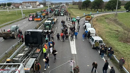 Accident mortel à Pamiers. Le conducteur mis en examen, ses...