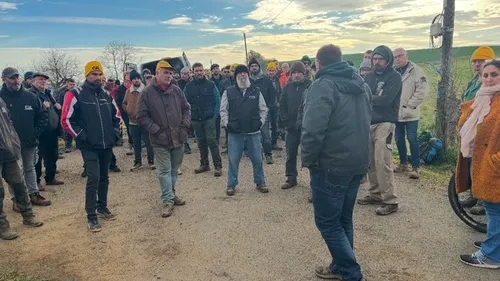 Ariège : tension extrême autour de l’abattage de 208 bovins 