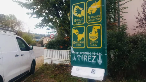 Mazamet envisage de tracer l'ADN des crottes de chiens pour...