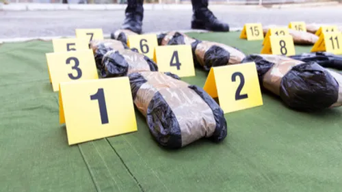 Une filière franco-belge de stup' et d’armes démantelée à Pau 