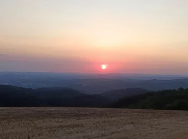 Éclipse solaire : l'Occitanie les yeux dans le ciel.